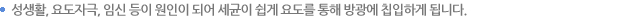 성생활, 요도자극, 임신 등이 원인이 되어 세균이 쉽게 요도를 통해 방광에 칩입하게 됩니다.
